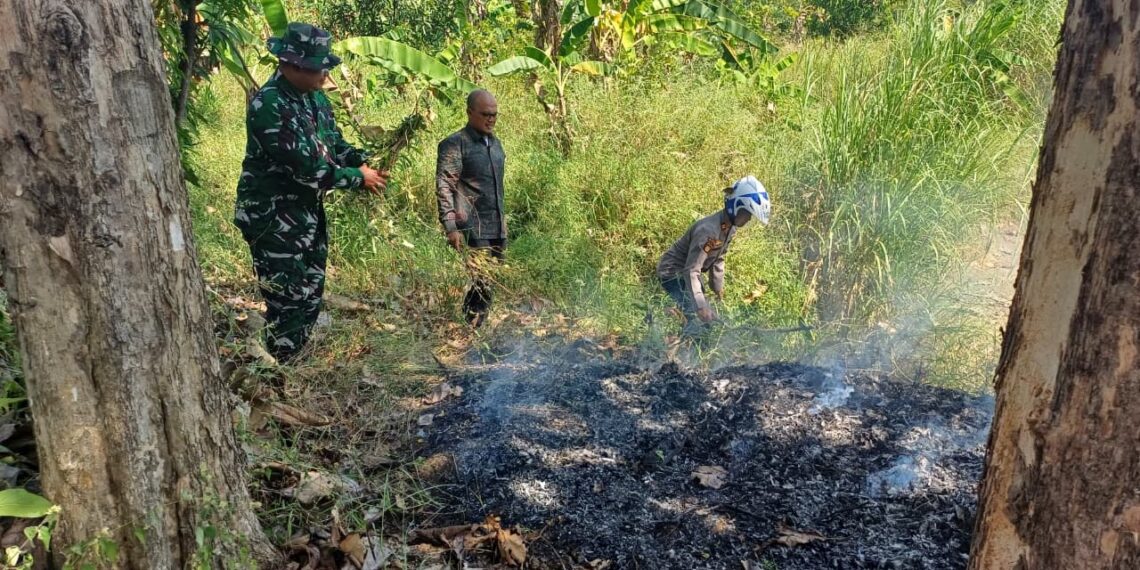Forkopimcam Ujungjaya Padamkan Karhutla di Lahan Perhutani