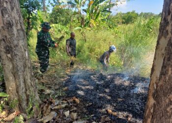 Forkopimcam Ujungjaya Padamkan Karhutla di Lahan Perhutani