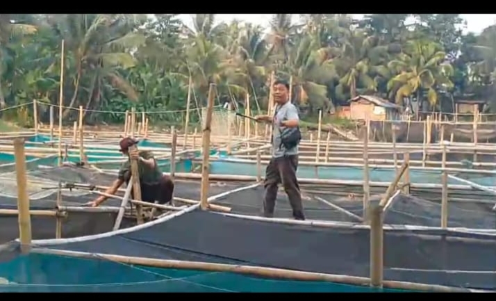 Peternak Ikan Terancam Bangkrut Kerugian Puluhan Juta Diduga Akibat Dampak Dari Bedolan Ciujung Pamarayan