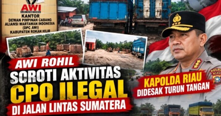 Diduga Dikelola Sinaga & Sihombing, AWI Rohil Desak Kapolda Tutup Penampungan CPO Ilegal